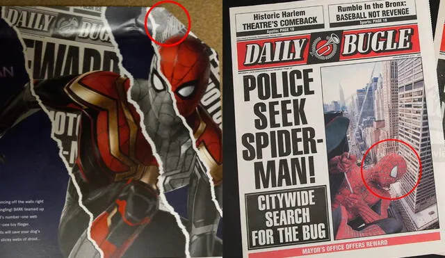 Una caja especial de Bark Box confirmaría la presencia de Tobey Maguire en Spider-man: no way home. Foto: composición/Twitter @Dominic_kravitz / Sony Pictures