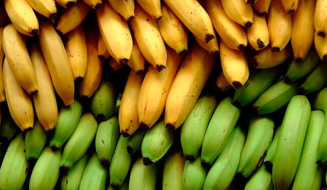 De acuerdo con la Encuesta Nacional de Hogares de 2019, el plátano es la fruta más consumida del Perú. Foto: composición de Fabrizio Oviedo / La República