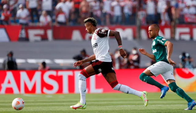 Flamengo y Palmeiras se vienen enfrentando por la final de la Copa Libertadores. Foto: EFE