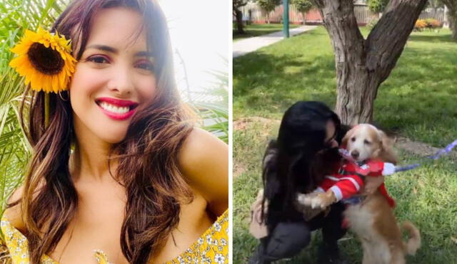 Rosángela Espinoza busca hogar para tres perritos. Foto: Rosángela Espinoza / Instagram