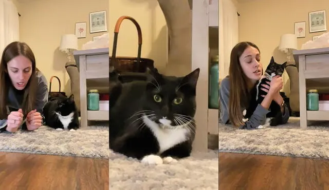 El gatito desvió la mirada en una ocasión cuando su dueña le hablaba. Foto: captura de YouTube