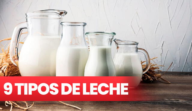 La leche puede aprovecharse en múltiples platos del día a día. Foto: composición de Fabrizio Oviedo/La República