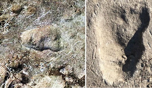 Estas huellas encontradas en Tanzania eran consideradas propias de osos, pero un nuevo estudio revela que pertenecen a un antiguo homínido. Fotos: McNutt et al / Nature