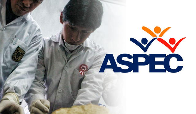 La ASPEC se pronunció sobre la ordenanza impuesta a las empresas: Bimbo, marca Bell´s y Frito Lay. Foto: composición LR/Gerson Cardoso