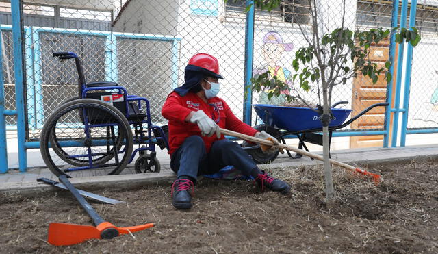 Contribuyen con la inclusión social, el desarrollo y bienestar de las personas con discapacidad. Foto: MTPE