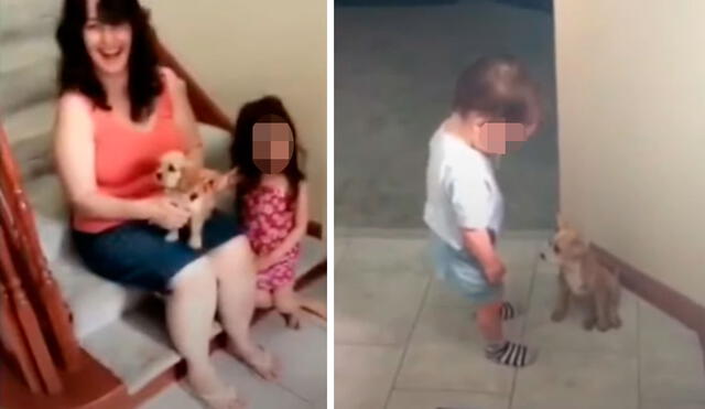 Una pareja adoptó a un cachorro para que fuera el ‘mejor amigo’ de sus hijos, pero uno de ellos protagonizó una divertida escena al verlo por primera vez. Foto: captura de Facebook