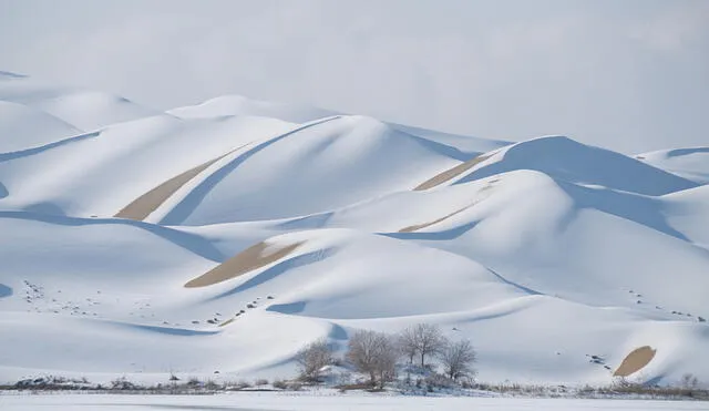 Desierto de Taklamakán, en China, está cubierto cubierto de nieve desde finales de noviembre. Foto: Twitter/@decameronshow