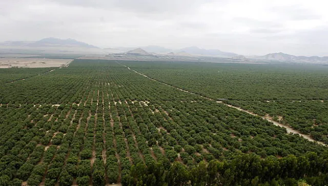 Chavimochic es el proyecto agroexportador emblemático de La Libertad. Foto: Archivo La República.