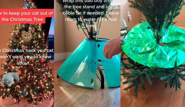 La curiosa estrategia ha llamado la atención de los cibernautas, quienes han tomado en consideración los tips para alejar a su engreídos de los árboles navideños. Fotos: captura de TikTok