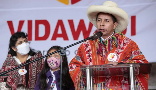 "La pandemia del covid-19 ha mostrado las precariedades del sistema sanitario", dijo el Castillo Terrones. Foto: Presidencia