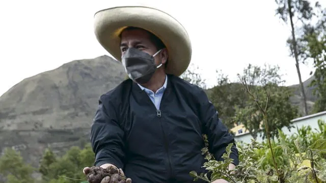 Cosecha. El presidente en el biohuerto de Vida Wasi en Cusco. Se le vienen días complicados.