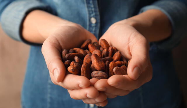 Cultivo del cacao involucra a más de 100.000 familias peruanas. Foto: Midagri