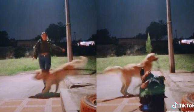 La muchacha perdió el equilibrio cuando el perrito se cruzo en su camino e hizo que se cayera al piso. Foto: captura de TikTok