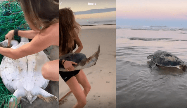 Gisele Bündchen salvó a una tortuga marina de morir estrangulada al quedar atrapada en un cúmulo de basura en la orilla de una playa de Brasil. Foto: Gisele Bündchen/Instagram.