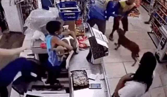 Los clientes de una tienda se sorprendieron ante la presencia del pequeño, quien llevaba en sus brazos a su perro para tratar de protegerlo. Foto: captura de YouTube