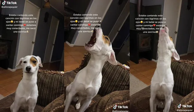 El contenido multimedia viene acompañado de una descripción. Foto: captura de TikTok