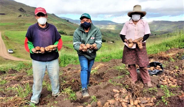 Miles de campesinos recibirán capacitación para mejorar producción. Foto: GRLL