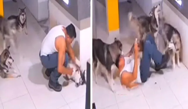 Un hombre terminó en el suelo a consecuencia de que sus mascotas se abalanzaron en su encima para salvar a su ‘amigo’ que no quería tomar su jarabe. Foto: captura de YouTube