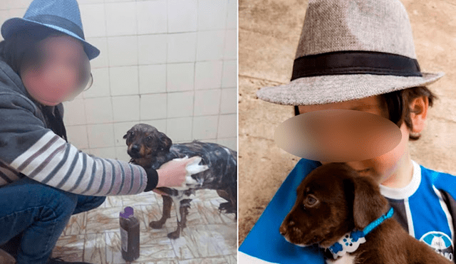 El niño invierte sus horas de ocio en la realización de una noble acción: bañar a perritos sin hogar para su pronta adopción. Foto: captura de Facebook