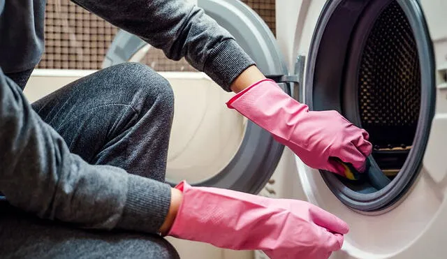 Limpiar una lavadora es muy sencillo y solo requiere de instrumentos fáciles de conseguir. Foto: composición de Fabrizio Oviedo / La República