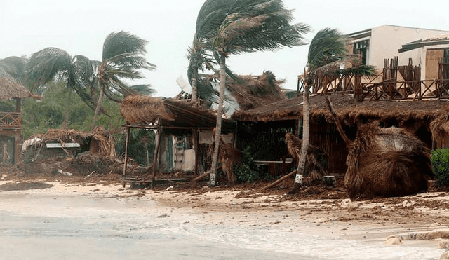 Los huracanas pueden generar inundaciones y graves daños a casas y árboles. Foto: EFE