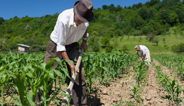 El Gobierno dispondrá de una partida de S/ 23 millones. Foto: Andina.