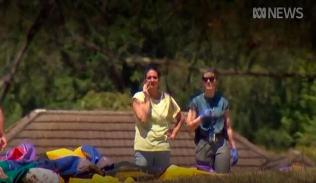 En la isla de Tasmania, en el sureste de Australia, están conmocionados por este suceso. Foto: captura de video de AFP