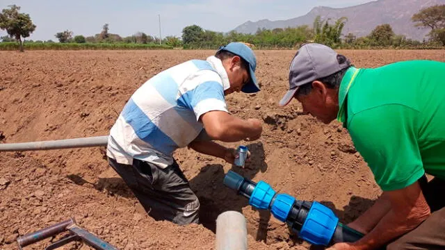 Especialistas de PSI y agricultores instalan tubería para riego tecnificado en Puchaca. Foto: PSI-Midagri