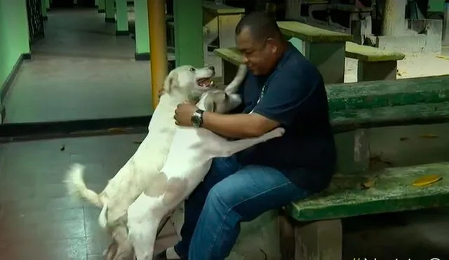 Alberto contó que uno de los sujetos lanzó una piedra a un perro y corrió despavorido, mientras que el segundo delincuente también huyó del ataque de otro can. Foto y video: captura/Noticias Caracol