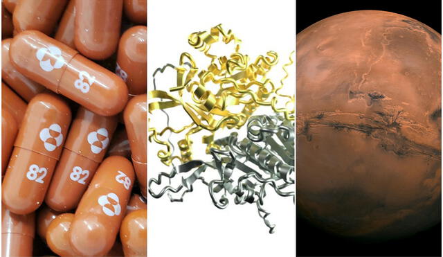 Las pastillas contra la COVID-19 molnupiravir (izquierda), la formación de proteínas (centro) y el planeta Marte (derecha) son tres de los grandes avances de la ciencia en 2021. Foto: composición / Merck / AFP / Ir Humphreys et. al (2021) / NASA
