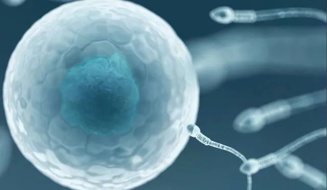 Sperm Positive fue lanzado por tres organizaciones benéficas antes del Día Mundial de la Lucha contra el Sida el 1 de diciembre de 2019. Foto: Fototeca de Ciencia