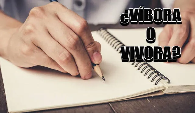 Un gran número de personas escribe de manera incorrecta la palabra ‘víbora’. Foto: composición La República