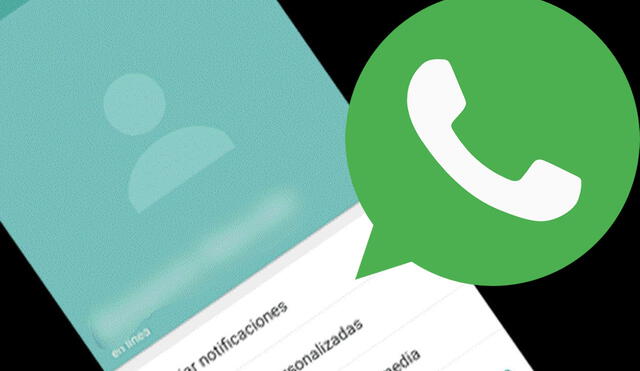 Este truco de WhatsApp funciona en iOS y Android. Foto: composición Trecebits