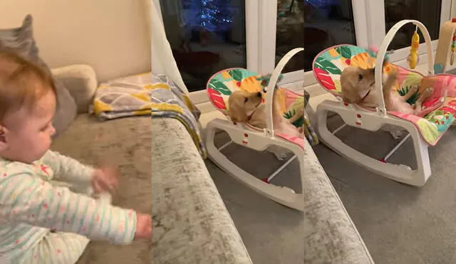 El bebé observaba cómo el perrito disfrutaba de sus juguetes. Foto: captura de YouTube