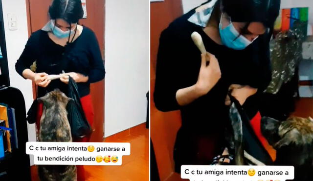 Las imágenes generaron los más divertidos comentarios en la red social. Foto: captura de TikTok