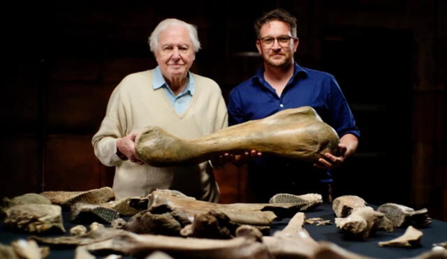 David Attenborough y Ben Garrod sostienen un resto de mamut lanudo. Ambos comentarán los hallazgos en un próximo programa de la BBC. Foto: Julian Schwanitz / BBC / Windfall Films