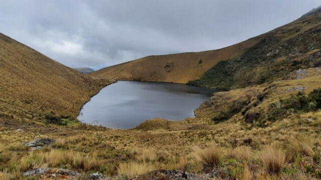 Con la disposición se protegerá 1.186 hectáreas de páramos y bosques. Foto: Andina