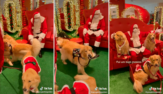 Los perritos corrieron emocionados para tomarse una foto con Papá Noel. Foto: captura de TikTok