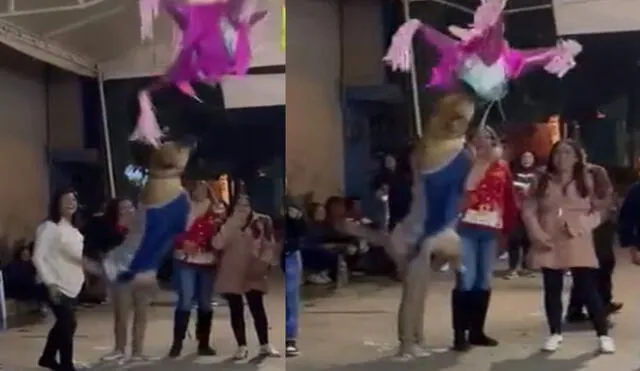 Perro interrumpe una fiesta y se pone al lado de los invitados para romper la piñata. Foto: captura de TikTok.