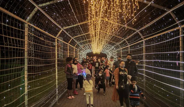La gente disfruta de las luces de Navidad en la entrada del Festival de Luz del Zoológico en Johannesburgo. Foto: AFP