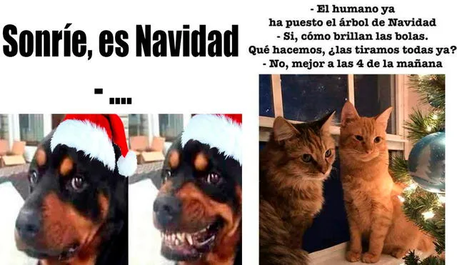 Los mejores y más hilarantes memes navideños para compartir este 24 de diciembre. Foto: composición LR/difusión