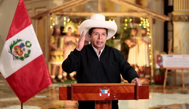 Pedro Castillo va a cumplir cinco meses en el cargo de presidente de la República. Foto: Presidencia/ Video: TV Perú