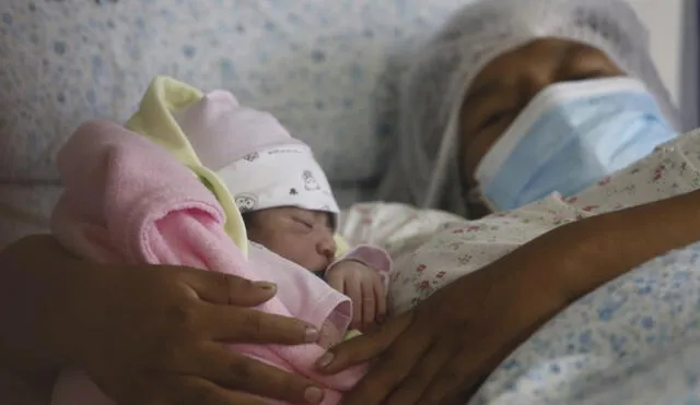 Los labores de parto se llevaron a cabo de forma exitosa y los menores se encuentran con buen estado de salud. Foto: URPI-GLR