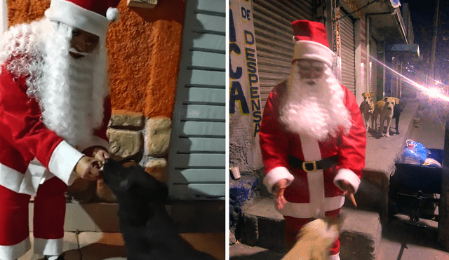 Precisos momentos en el que un miembro de Escuadrón Salchicha se convierte en Santa Claus para llevarle comida a los perros callejeros. Foto: Escuadrón Salchicha
