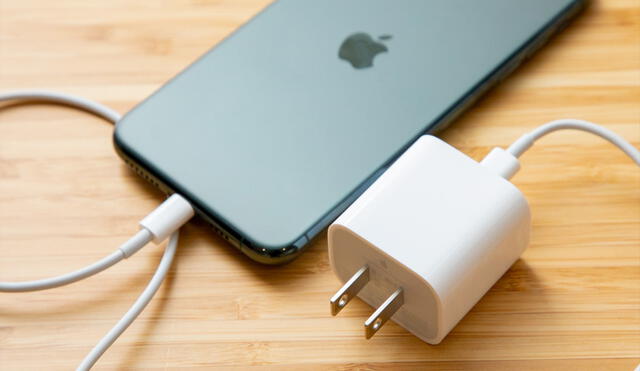 Desde el iPhone 12, Apple solo incluye el cable lightning. Foto: Bunker DB