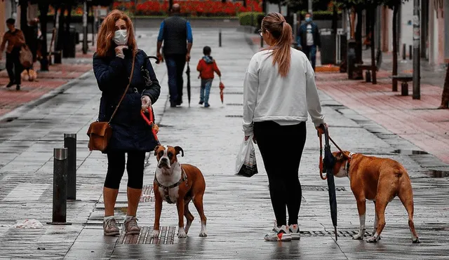 Las dos mujeres deberán comparecer ante la Justicia de Alemania por cargos de lesiones físicas. Foto: EFE/referencial