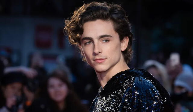 Timothée Chalamet actuó en Interestelar, pero saltó a la fama por su papel en Llámame por tu nombre. Foto: Gtres