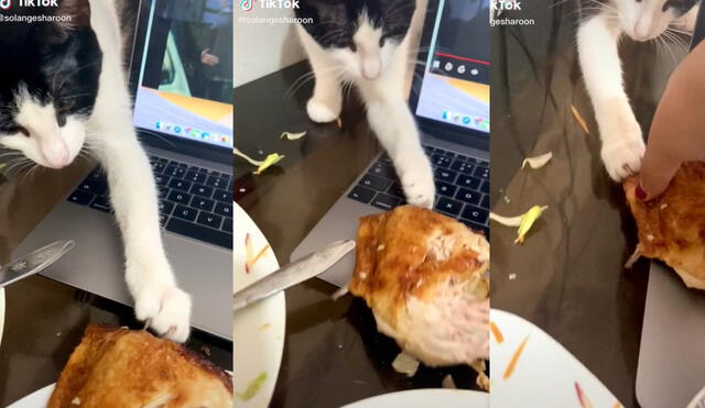 El gatito arrastró la presa de pollo a la brasa por el teclado de la laptop, pero su dueña evitó que se lo lleve. Foto: captura de TikTok