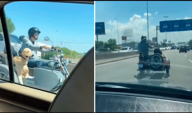 Una mujer grabó el preciso momento en que un motociclista pasaba por una carretera; sin embargo, hubo un detalle que le llamó la atención al verlo con su perro. Foto: captura de Facebook