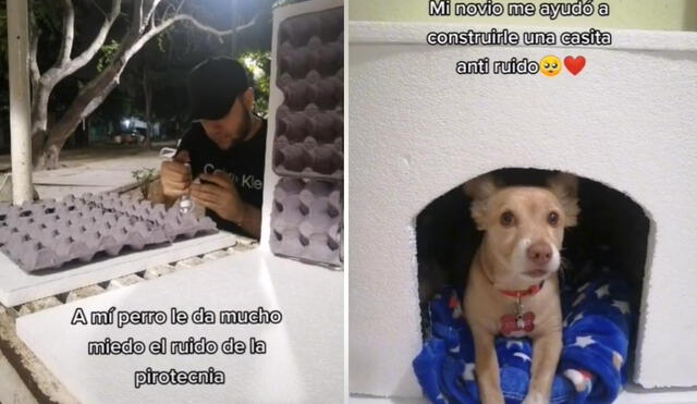 La joven de usuario @gengallardo9 se mostró muy agradecida con su pareja, quien despertó la curiosidad de muchos en saber cómo había construido la casa de la mascota. Foto: captura de TikTok La joven de usuario @gengallardo9 se mostró muy agradecida con su pareja, quien despertó la curiosidad de muchos en saber cómo había construido la casa de la mascota. Foto: captura de TikTok